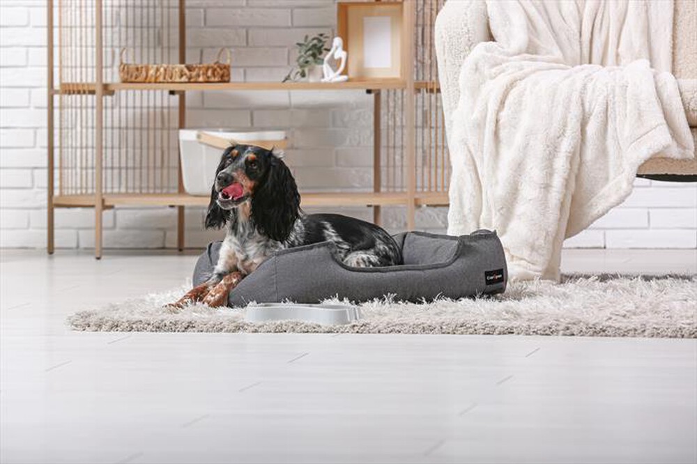 Immagine del prodotto CAREPET - CUCCIA SMART TG.L