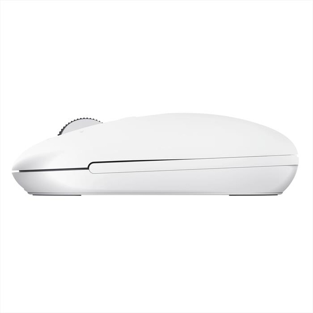 Immagine del prodotto TRUST - SERON HYPSCROLL SLIM WRLS MOUSE-White