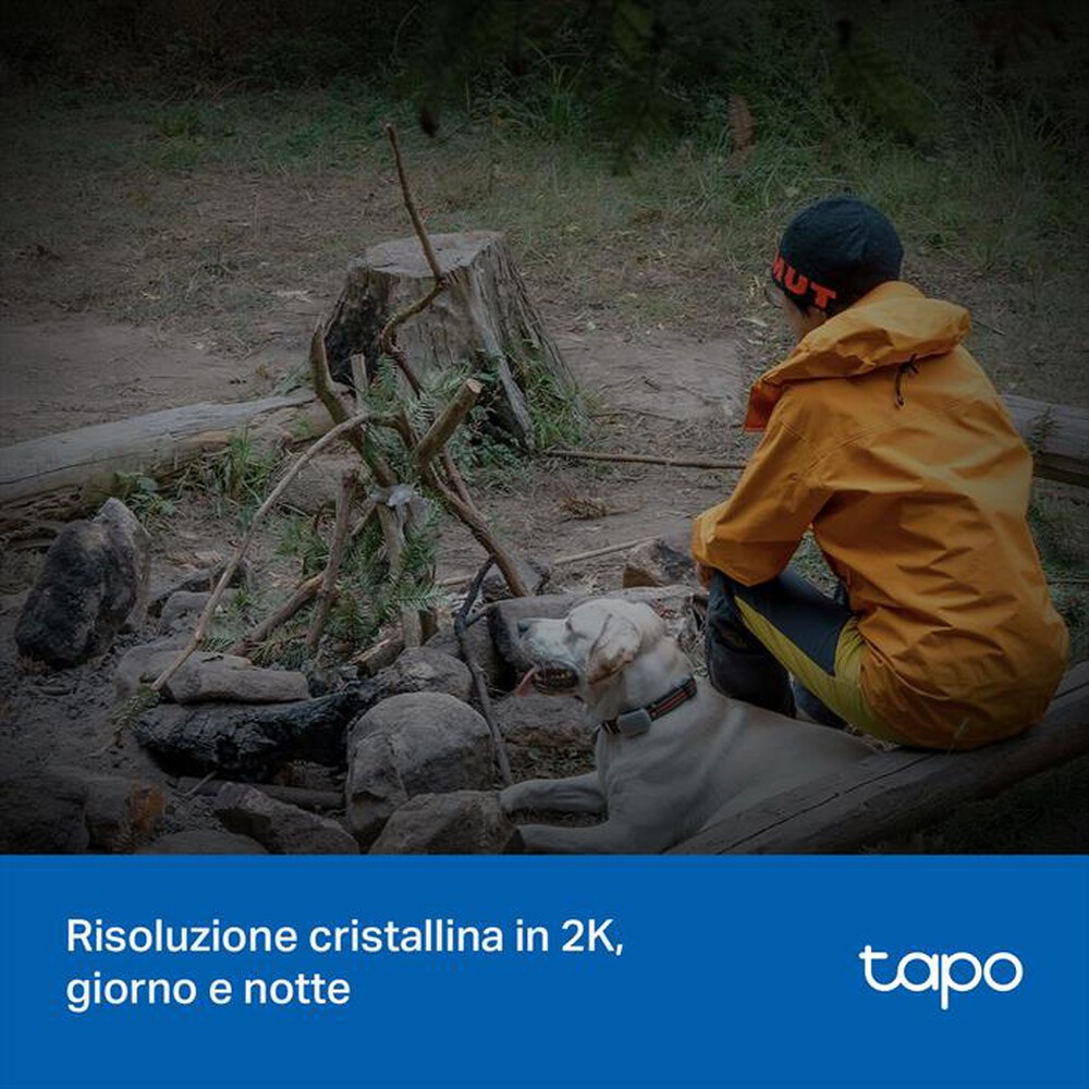 Immagine del prodotto TP-LINK - Telecamera di sorveglianza SOLAR-POWERED PAN/TILT-Bianco