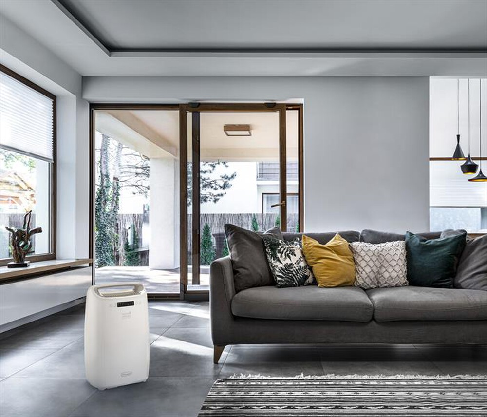 Immagine del prodotto DE LONGHI - Deumidificatore Tasciugo AriaDry DEXD214RF-Bianco