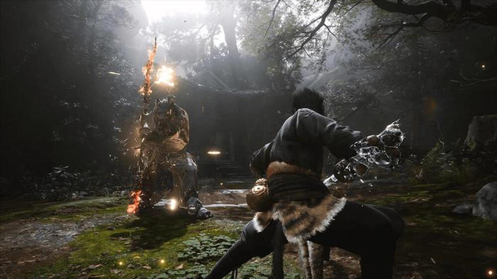 Immagine del prodotto FLASHPOINT DE - BLACK MYTH: WUKONG PS5
