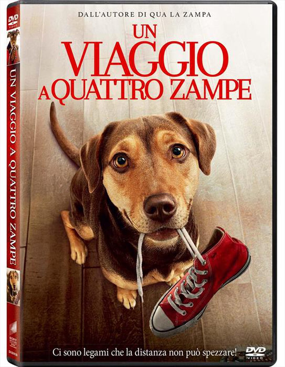 Immagine del prodotto EAGLE PICTURES - Viaggio A Quattro Zampe (Un)