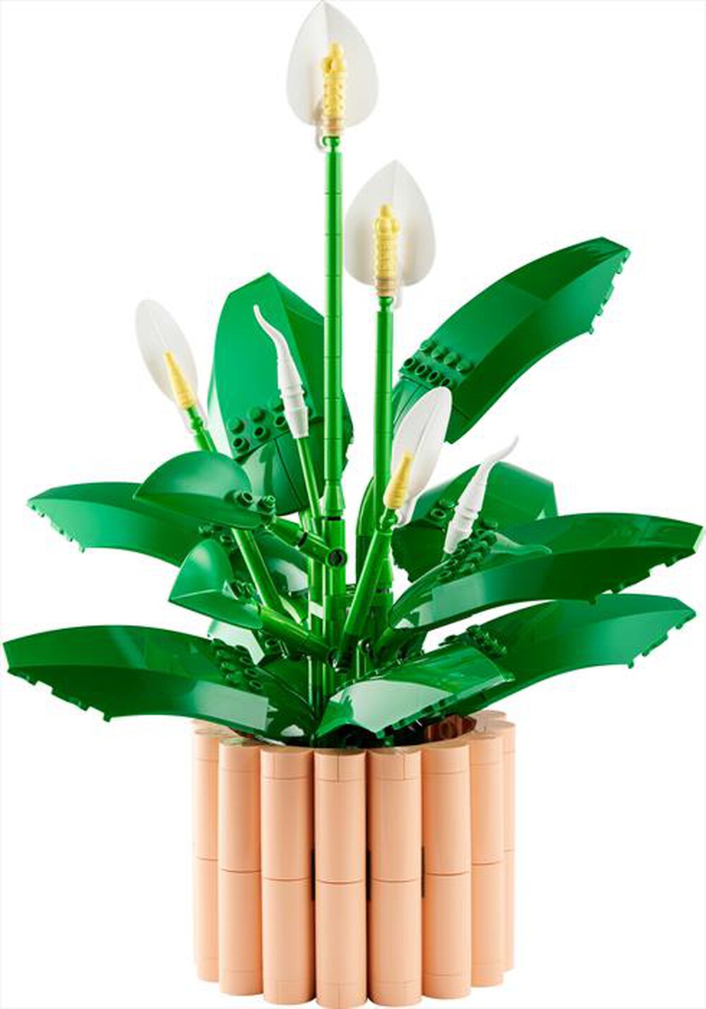 Immagine del prodotto LEGO - BOTANICALS Spatifillo - 11504