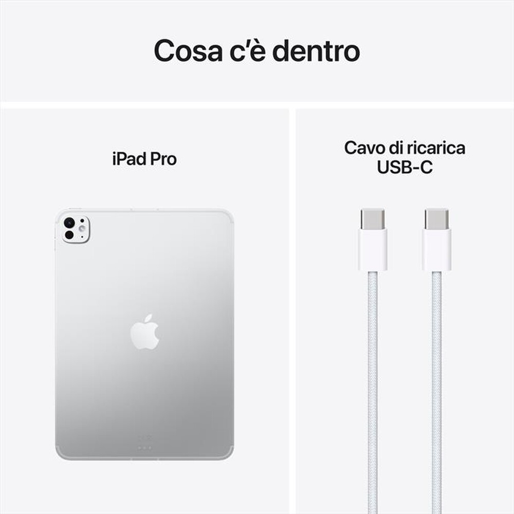 Immagine del prodotto APPLE - iPad Pro 11" M5 WiFi + Cellular 1TB-Argento