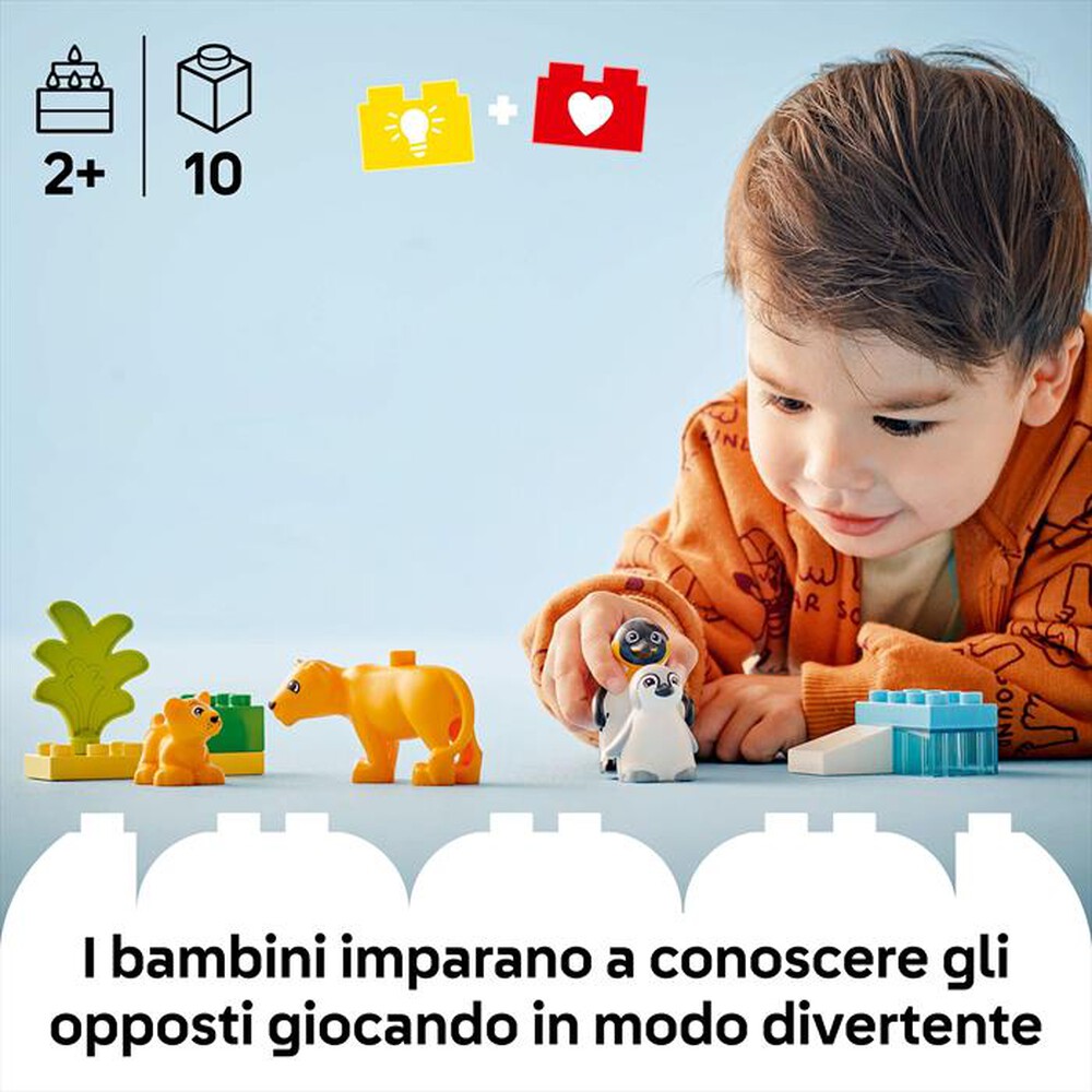 Immagine del prodotto LEGO - DUPLO Famiglie di animali: pinguini e leoni 10442