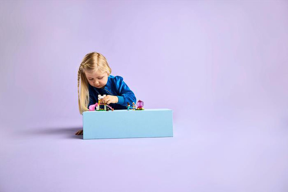 Immagine del prodotto LEGO - FRIENDS Il parco giochi dei cuccioli 42665