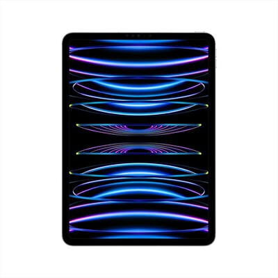 APPLE - iPad Pro 11" WI-FI + CELLULAR 256GB-Argento