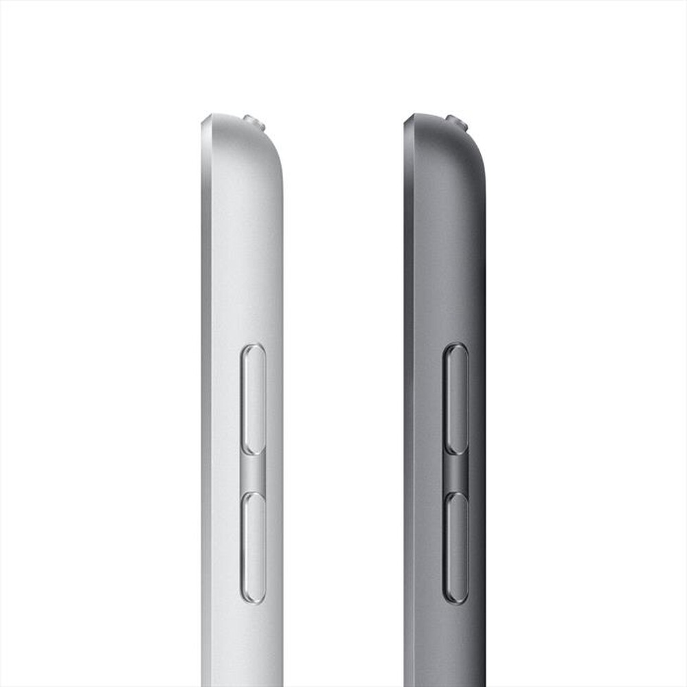 Immagine del prodotto APPLE - iPad 10.2" Wifi+Cellular 64GB-Grigio Siderale