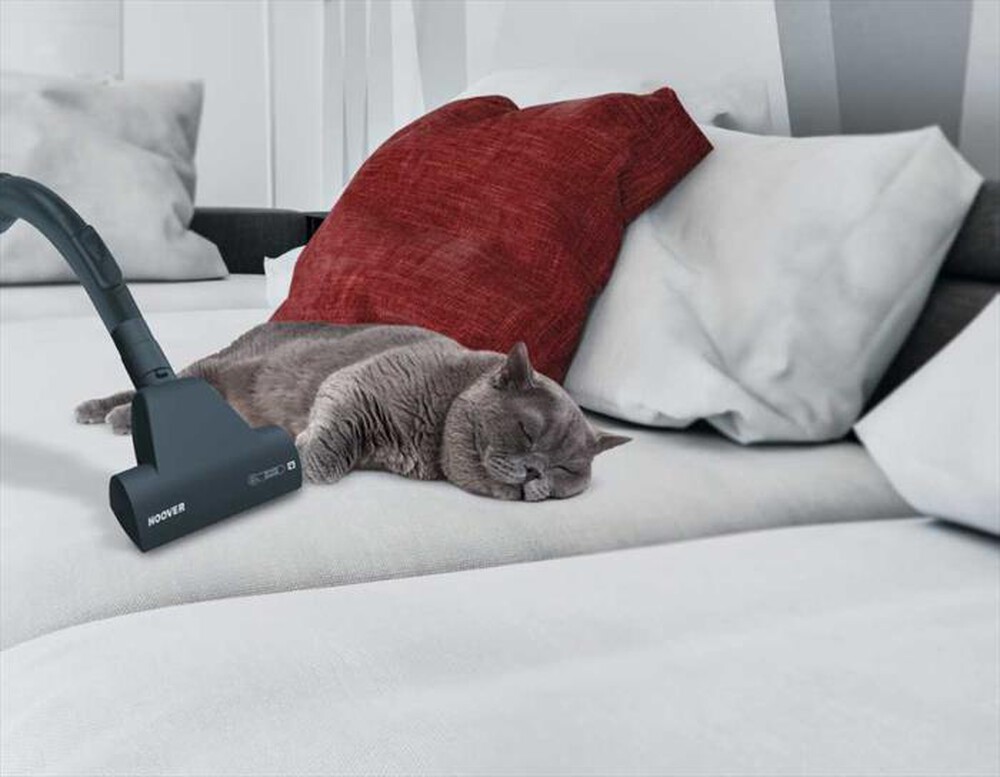 Immagine del prodotto HOOVER - Aspirapolvere a traino BREEZE BR31PET-Nero