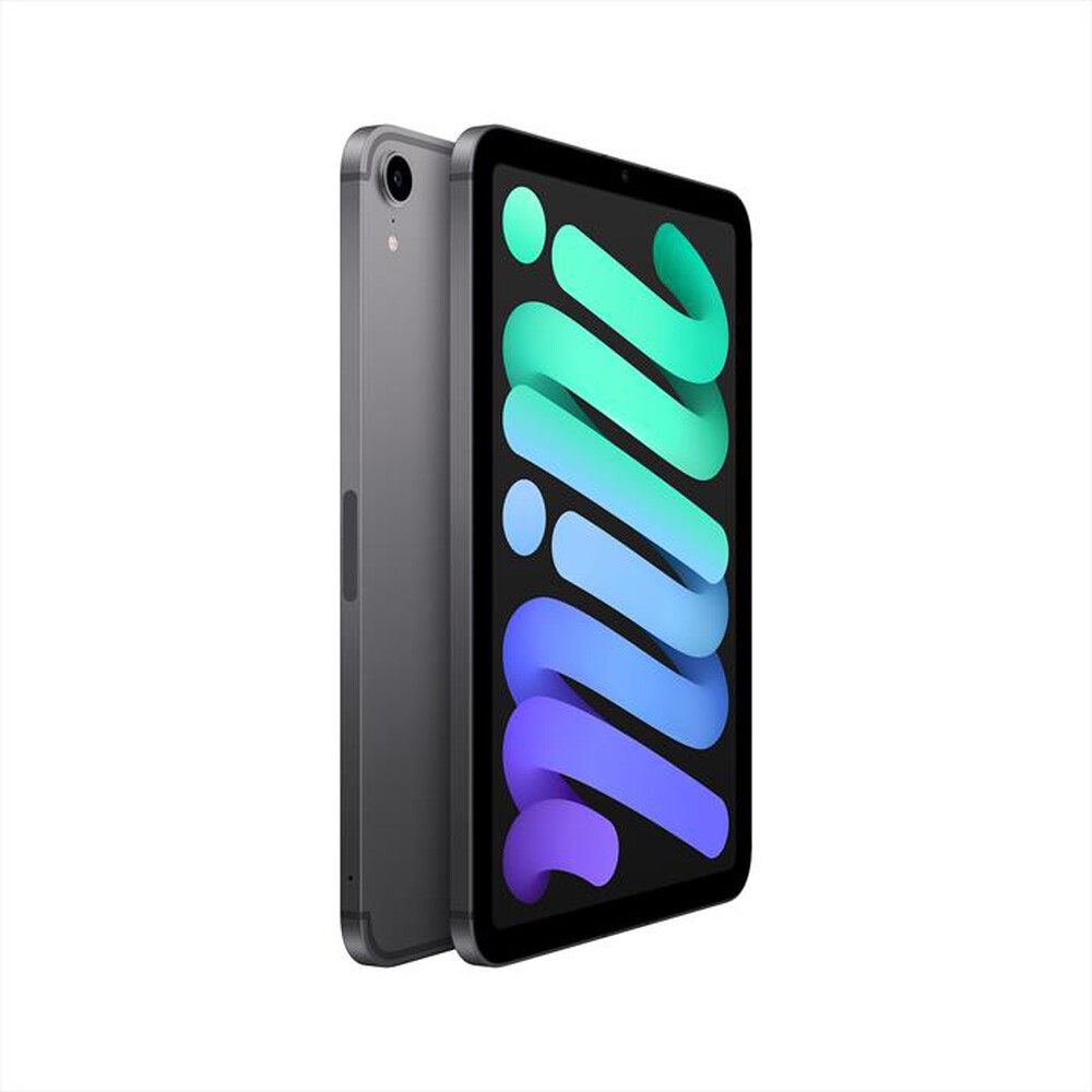 Immagine del prodotto APPLE - iPad mini Wi-Fi + Cellular 256GB-Space Grey