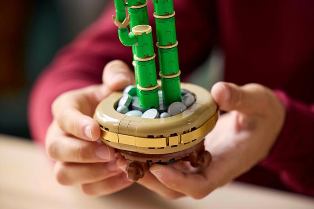 Immagine del prodotto LEGO - BOTANICALS Bamb&ugrave; del buon auspicio 10344