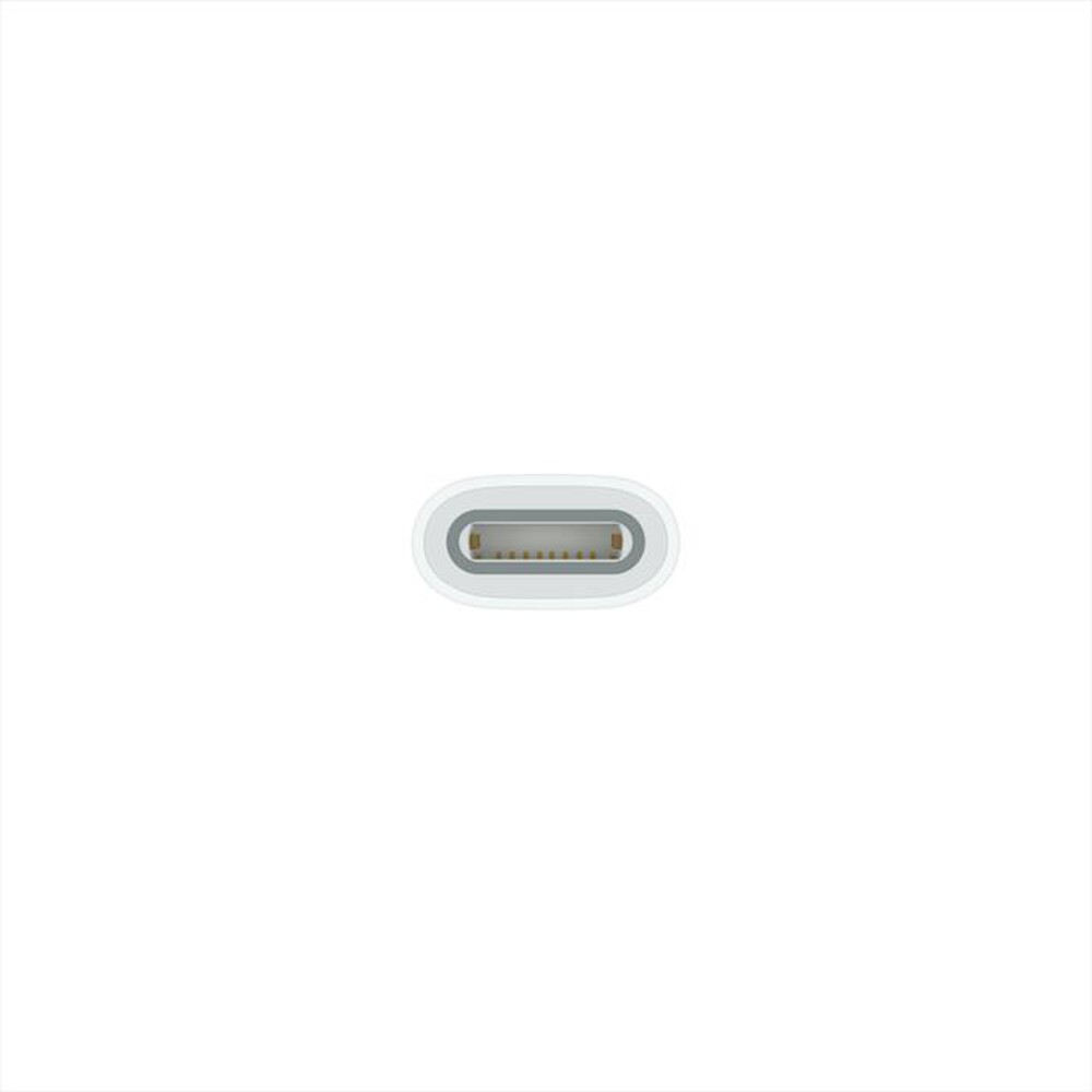 Immagine del prodotto APPLE - Adattatore da USB-C a Apple Pencil-Bianco
