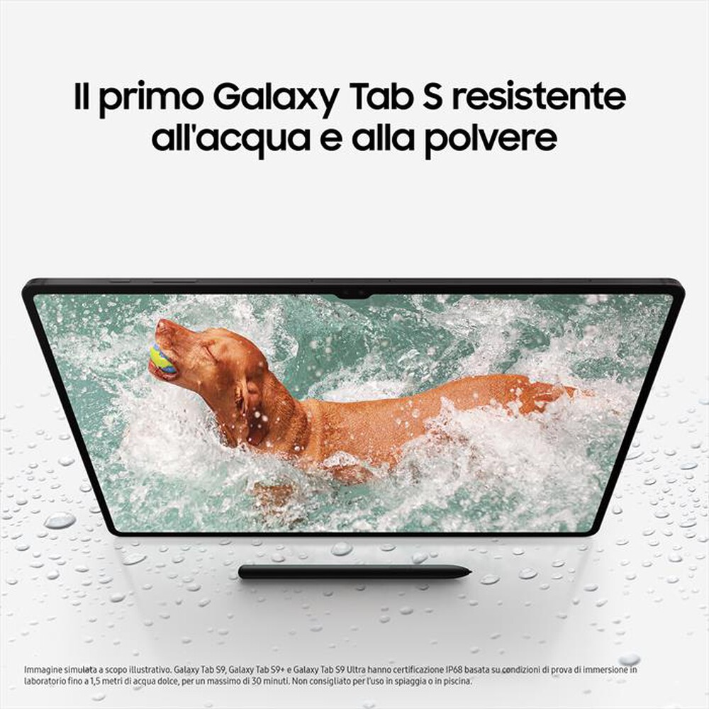 Immagine del prodotto SAMSUNG - Galaxy Tab S9+ Wi-Fi (12GB / 256GB)-Graphite