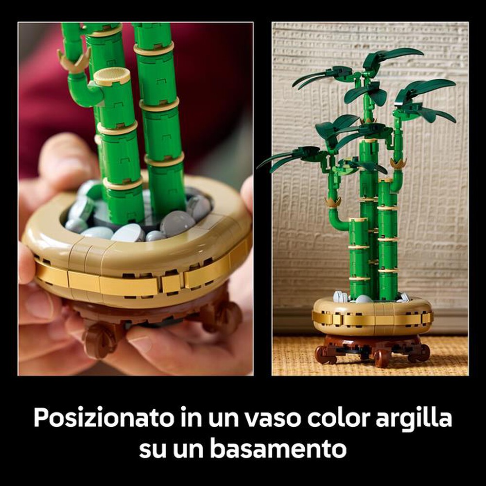 Immagine del prodotto LEGO - BOTANICALS Bamb&ugrave; del buon auspicio 10344