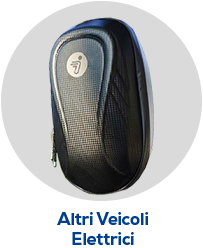 Altri Veicoli Elettrici