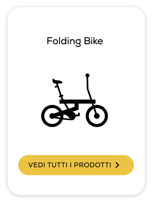 Folding Bike
