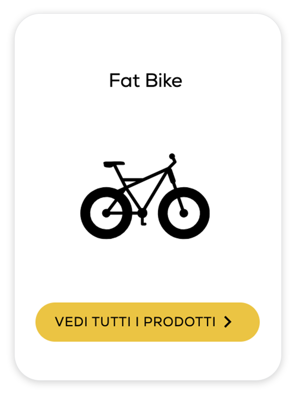 Fat Bike