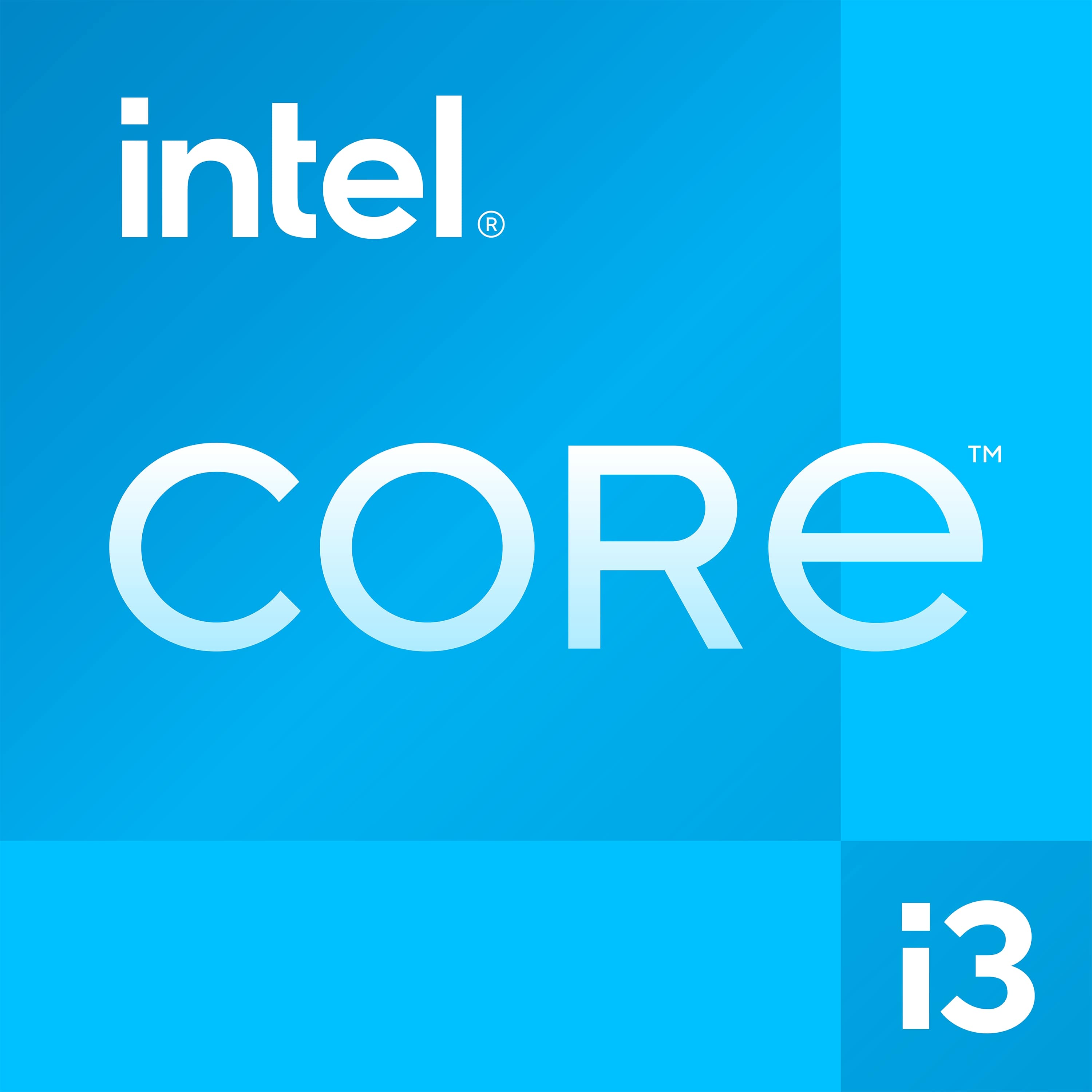Badge Intel per ASUS - Notebook F1504ZA-NJ788W-Silver